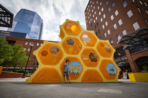 A beehive-themed climber at 16th Street in Denver